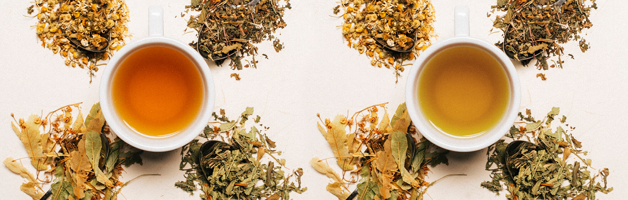 Infusões de Ervas